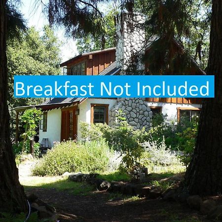 Yosemite Rose Bed And Breakfast Groveland Exteriör bild