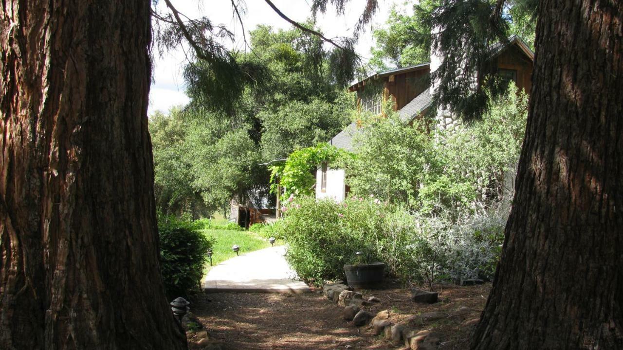 Yosemite Rose Bed And Breakfast Groveland Exteriör bild