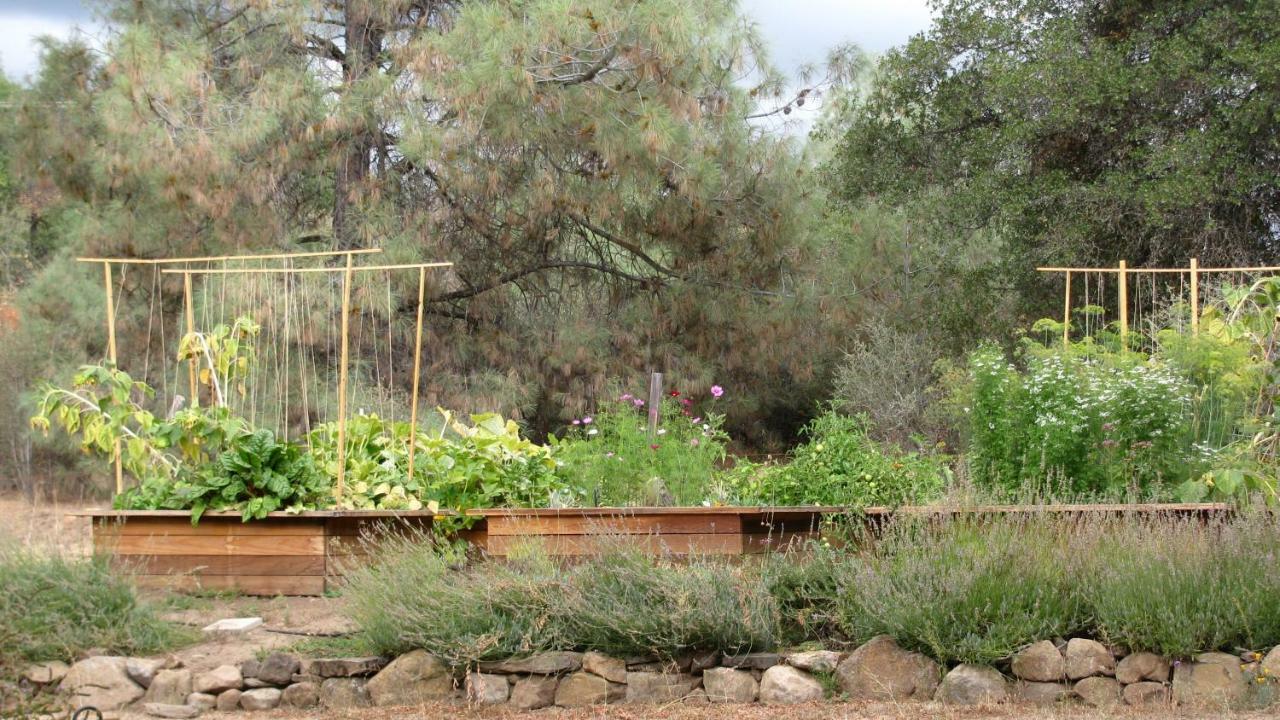 Yosemite Rose Bed And Breakfast Groveland Exteriör bild